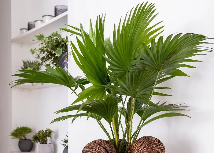 Kvartal Delux, Parking, * Tartu